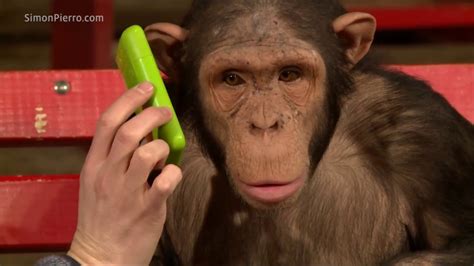 Monkeys communicate reactions to magic